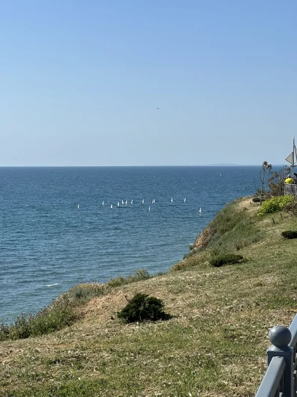 Анапа: скалистый зелёный берег над морем, вдалеке в воде видны паруса небольшой регаты.