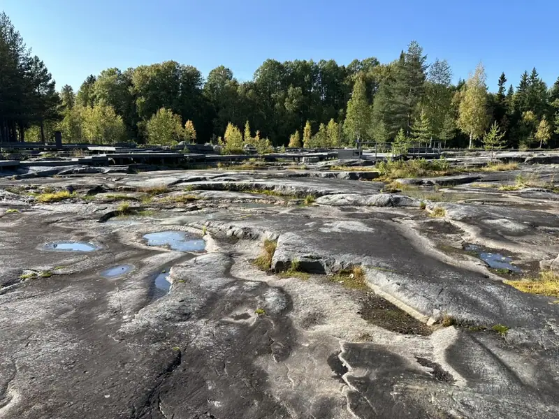 Беломорские петроглифы