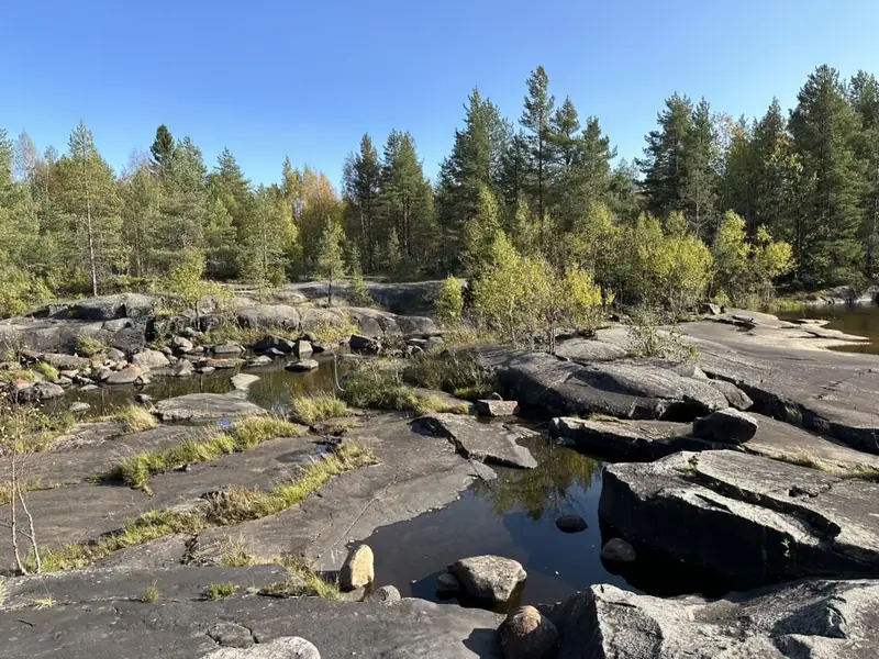 Каменистое русло реки Выг рядом с петроглифами: гладкие скалы, вода и сосны