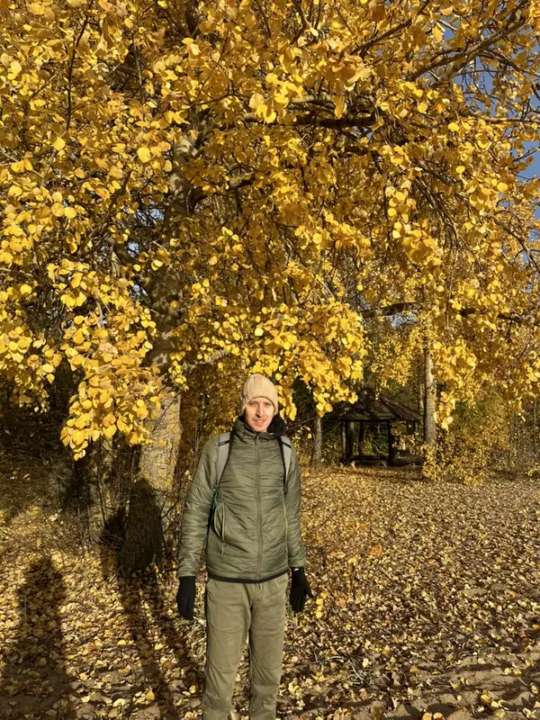 Осенняя берёза с жёлтой листвой на дороге к форту, за ней деревянная беседка