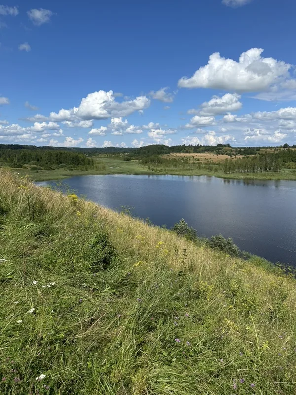 Городищенское озеро под Изборском с высокого травяного склона: спокойная вода, поля и перелески на дальнем берегу