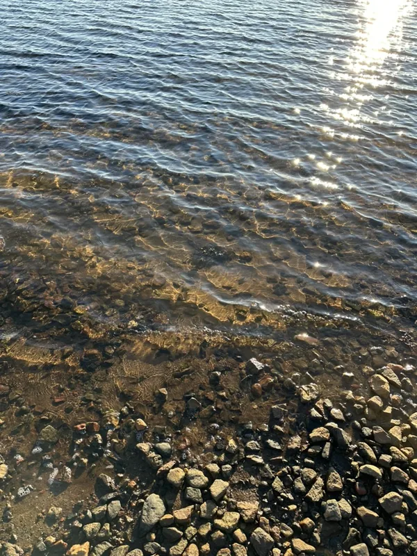 Прозрачная вода Белого моря у берега: сквозь мелкую волну видно каменистое дно, у кромки крупные валуны в водорослях