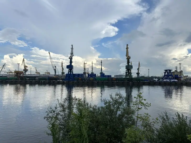 Ряд портальных кранов и синяя конструкция у причала за водой, на переднем плане кусты у берега