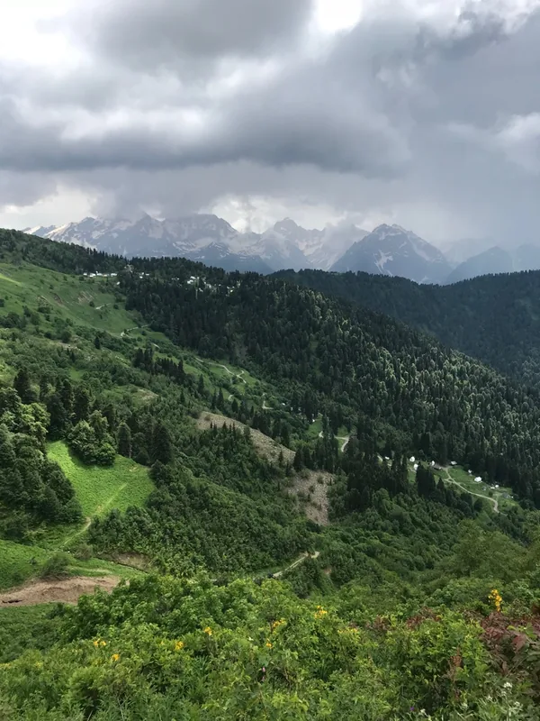 Кавказский заповедник: панорама лесистых склонов и заснеженных вершин вдали, грозовые облака, цветущий луг на переднем плане.