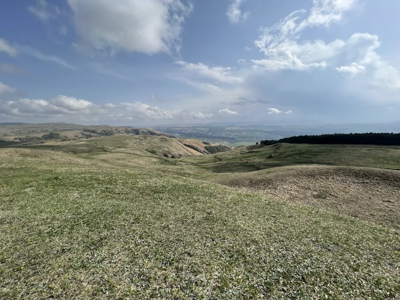 Панорама безлесых холмов с верхних терренкуров Кисловодского парка