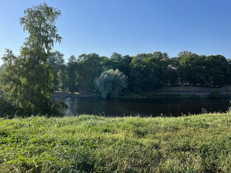 Вид от крепости Корела на реку Вуоксу и заросший деревьями берег