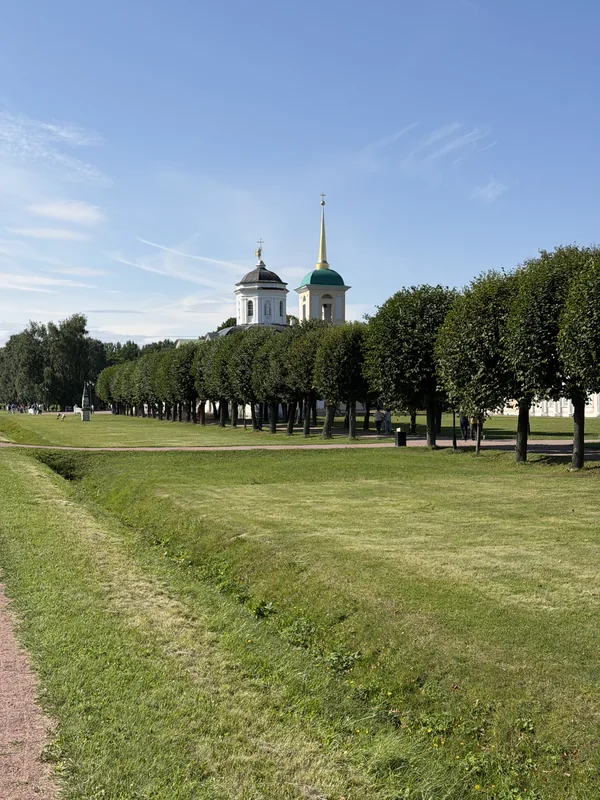 Аллея стриженых деревьев, за ней купола церкви