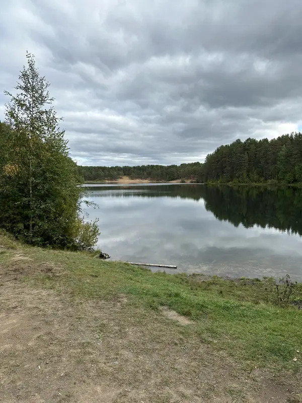 То же лесное озеро в пасмурный день, на переднем плане берёза на песчаном откосе