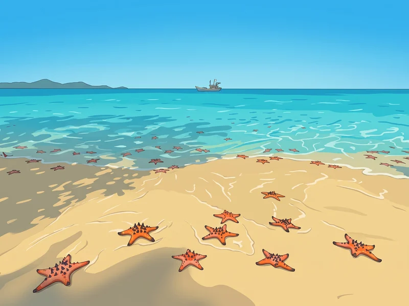 Пляж морских звёзд