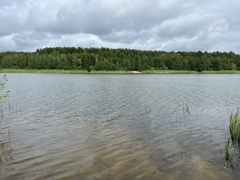 Широкая гладь озера с рябью, на дальнем берегу сплошная полоса леса, небо затянуто облаками