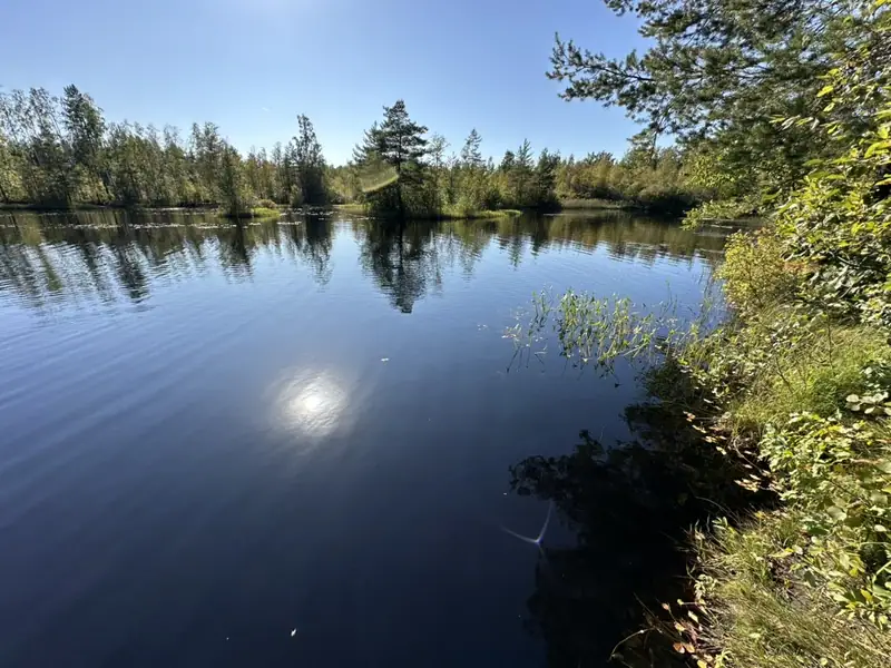 Небольшое лесное озеро на маршруте, в тёмной воде отражаются сосны