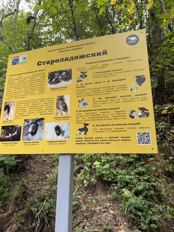 Щит памятника природы «Староладожский» с правилами поведения в пещерах и летучими мышами