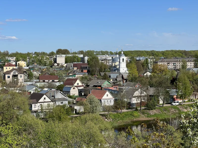 Панорама города с высокого берега: частные дома с разноцветными крышами, белая церковь с колокольней, полоса леса на горизонте