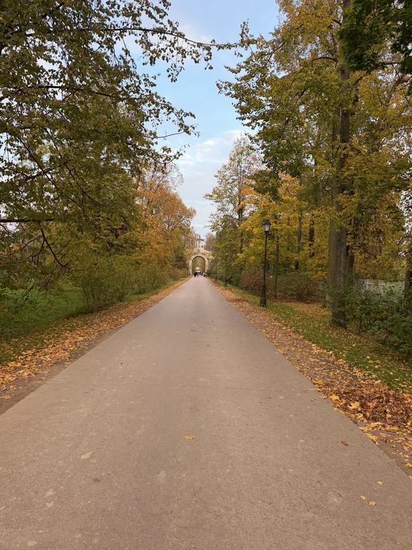 Длинная аллея в осеннем парке