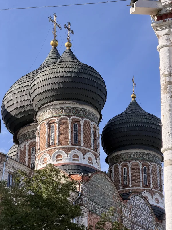 Тёмные чешуйчатые купола Покровского собора крупным планом