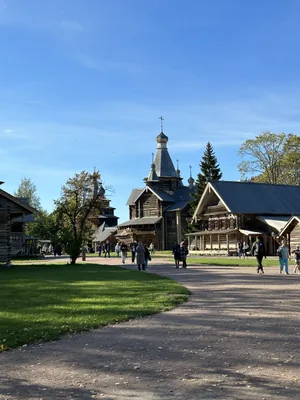Витославлицы: деревянная шатровая церковь и срубы вдоль широкой дорожки, по газону и тропинкам гуляют посетители