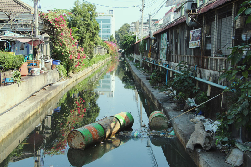 Каналы бангкока. Рыба в каналах Бангкока.