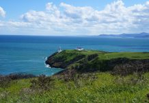 Куда можно уехать волонтером