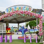 _DSC0995