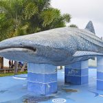 _DSC8861