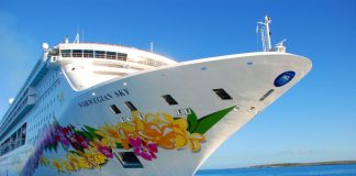 Черная пятница! Премиум круизы со скидкой до 50%!