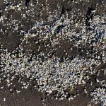 WhatsApp Image 2020-09-14 at 19.42.36 (1)