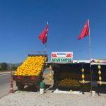 WhatsApp Image 2020-09-14 at 19.42.37