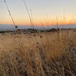 WhatsApp Image 2020-09-14 at 19.42.38