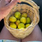 WhatsApp Image 2020-09-14 at 19.42.39