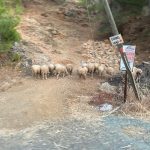 WhatsApp Image 2020-09-14 at 19.42.41 (1)