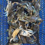 WhatsApp Image 2020-09-14 at 19.42.42 (1)