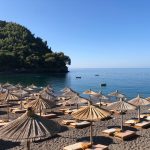 WhatsApp Image 2020-09-16 at 00.43.58