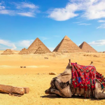 Снимок экрана 2022-01-19 в 12.00.24