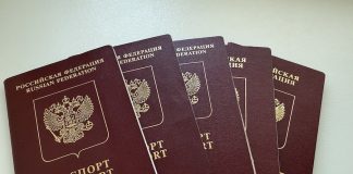 Какой загранпаспорт оформить — пятилетний или десятилетний