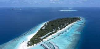Что предлагает дайверам курорт Dhigali Maldives