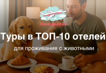 Туры в ТОП-10 отелей Краснодарского края для путешествий с животными