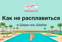 Иллюстративный баннер курортного бассейна с пальмами и баром на фоне текста о Шарм-эль-Шейхе и советами как не расплавиться