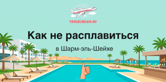 Туры в Шарм-эль-Шейх от 104 300 рублей — Отели 5*, где не жарко в августе Иллюстративный баннер курортного бассейна с пальмами и баром на фоне текста о Шарм-эль-Шейхе и советами как не расплавиться