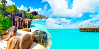 Туры на Сейшелы или Мальдивы от 275 700 рублей — Шикарные отели 4* и 5* с рейтингом 10.0