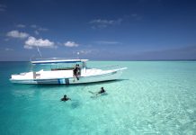 Как туристы выращивают коралловые плантации на Мальдивах