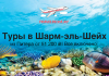 Banner advertising tours to Sharm el-Sheikh from Saint Petersburg with all-inclusive price, over a coral reef photo.