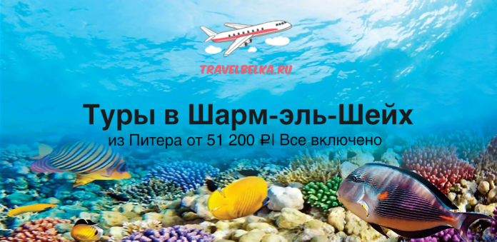 Banner advertising tours to Sharm el-Sheikh from Saint Petersburg with all-inclusive price, over a coral reef photo.
