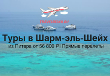 Туры в Шарм-эль-Шейх из Питера от 56800 с прямыми перелетами