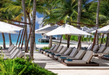Row of poolside lounge chairs under white umbrellas along a palm-lined beach with turquoise water in the background