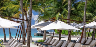 Row of poolside lounge chairs under white umbrellas along a palm-lined beach with turquoise water in the background