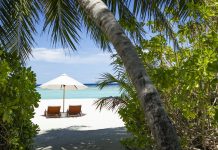 Two wooden lounge chairs under a white beach umbrella on a sunny tropical beach with turquoise water.