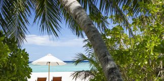 Two wooden lounge chairs under a white beach umbrella on a sunny tropical beach with turquoise water.