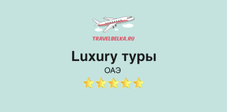 Лакшери туры в ОАЭ TravelBelka.ru banner: airplane illustration, text 'Luxury туры' and 'ОАЭ', five gold stars on mint background.