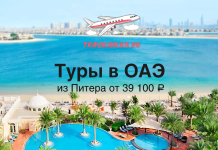 Туры в ОАЭ из Питера от 39100 с прямыми перелетами Travel advertisement for UAE tours from Saint Petersburg starting at 39,100 ₽, with a beach, pool, palm trees and an airplane logo 'TRAVELBELKA.RU'