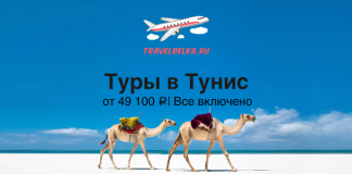 TravelBelka ad banner for Tunisia tours: two camels on a white desert under a blue sky with a plane logo and Russian promo text.